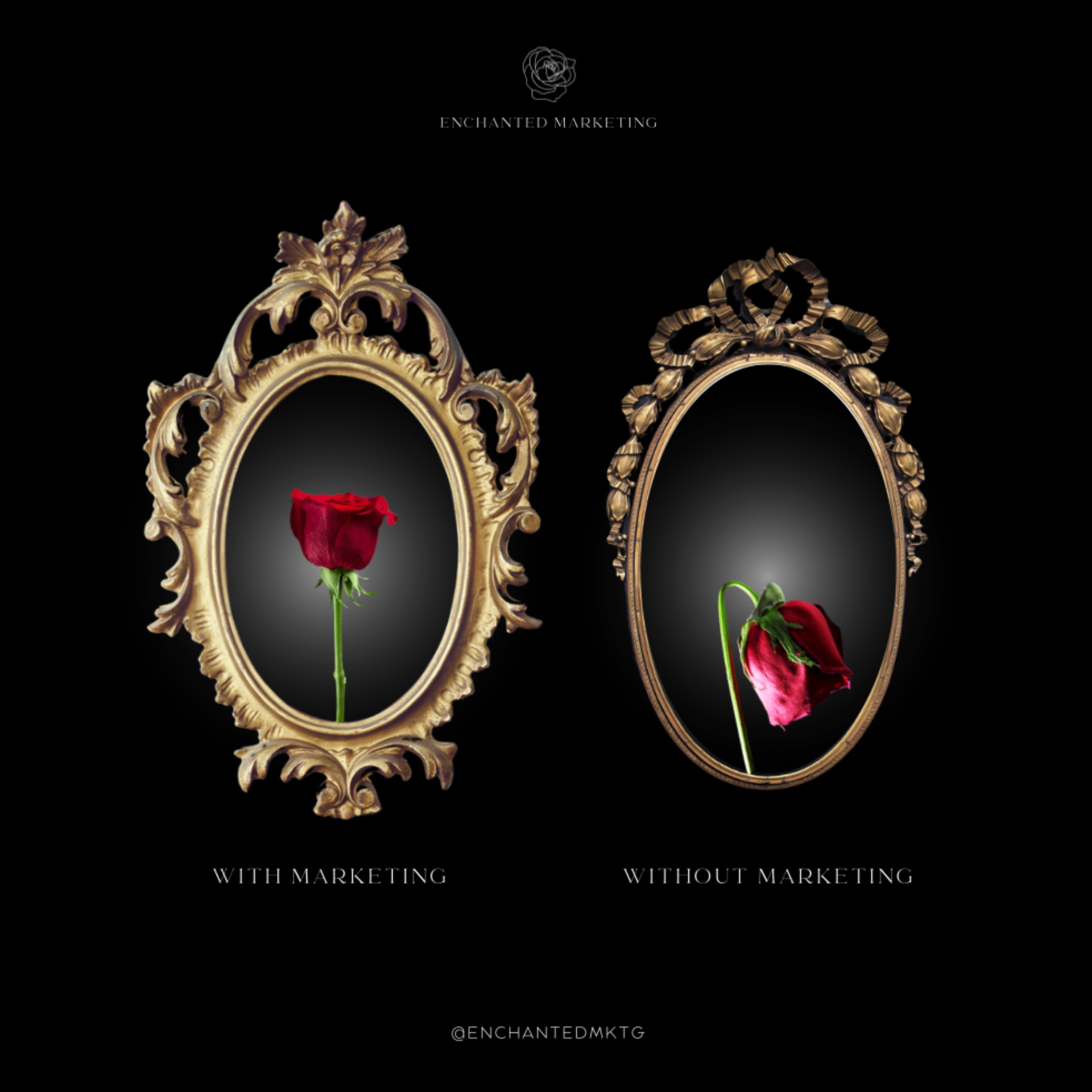 With vs Without Marketing